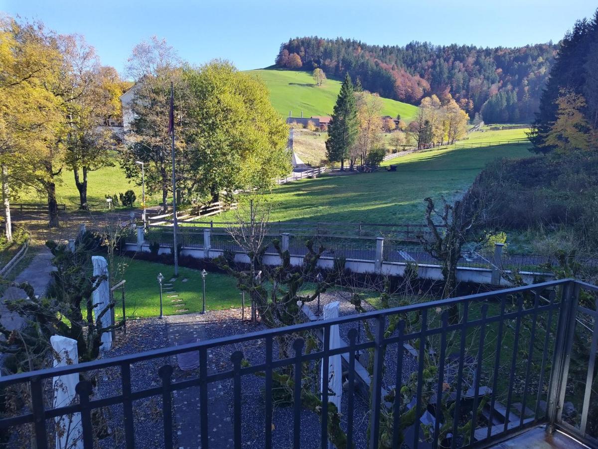 Apartment Meinradsberg Mit Balkon Einsiedeln Eksteriør billede