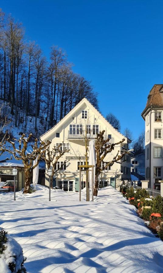 Apartment Meinradsberg Mit Balkon Einsiedeln Eksteriør billede